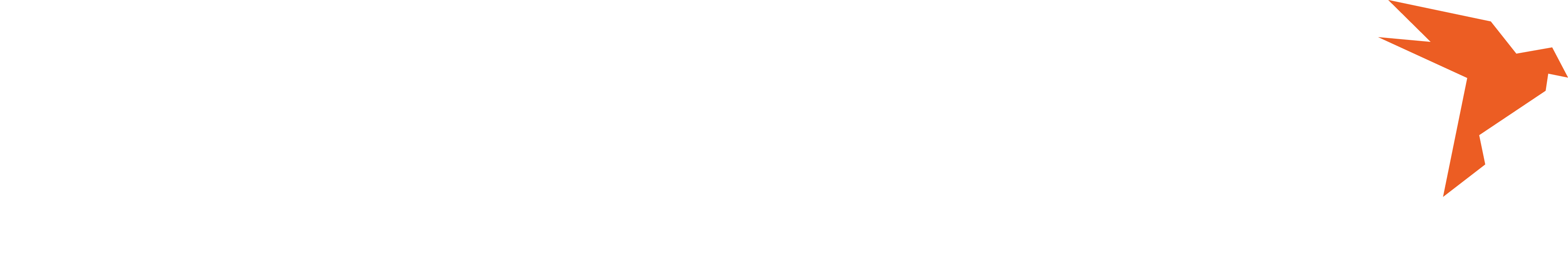 Momentum